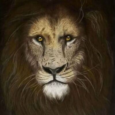 the veteran Thumbnail